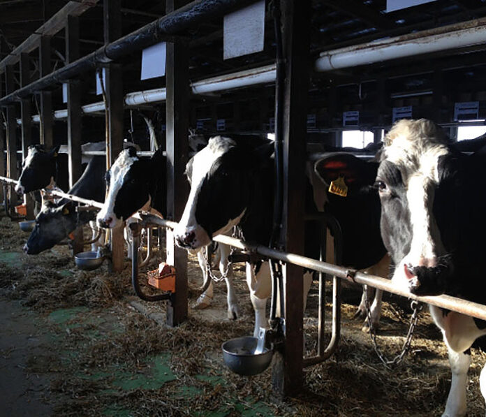 酪農乳業界 かつてない危機に直面 生乳需要喚起が一層加速 2022年重大ニュース