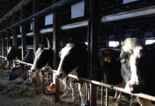 時代の「空気」 時代の「空気」