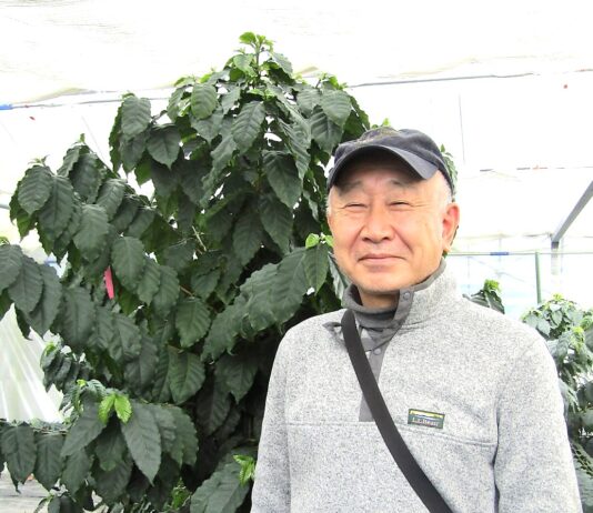 ニシナ屋珈琲の新谷隆一社長と大芝島農園の標準木