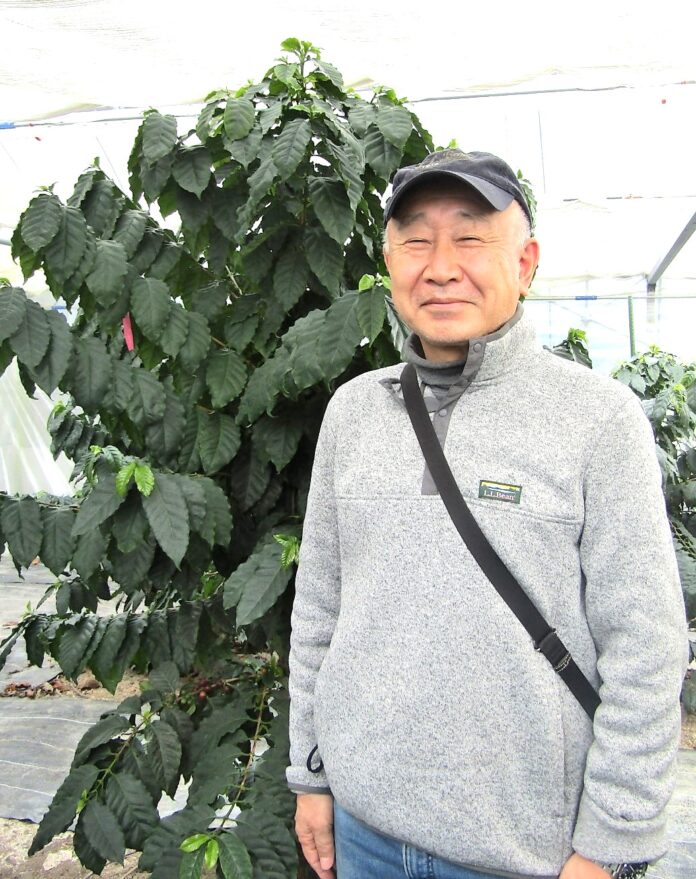ニシナ屋珈琲の新谷隆一社長と大芝島農園の標準木