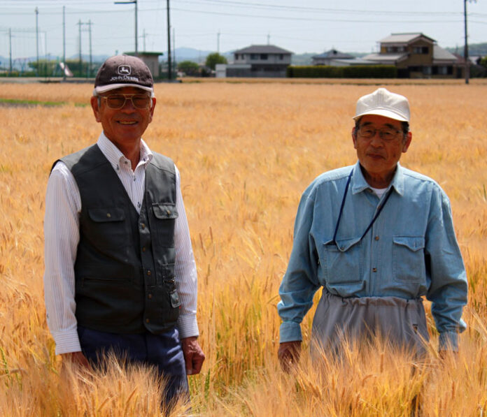 「もち麦」アピールへ写真コンテスト 兵庫県加東市が作品募集中