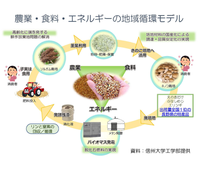 農業・食料・エネルギーの地域循環モデル（資料：信州大学工学部提供）
