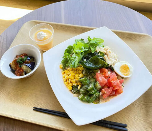 タンサ活レシピの一例「ごまだれサラダうどん」