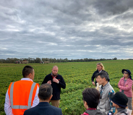 海外拠点視察の様子（カゴメ）