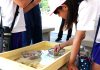 浜辺のマイクロプラスチックを回収