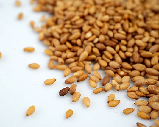 金ごま関連製品を6月から値上げ 減産で相場急騰 真誠