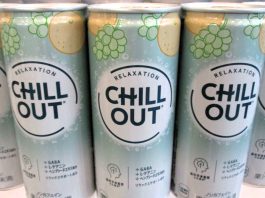 夜の水族館の冷涼なリラックス空間で「チルアウト」体験 水槽前に