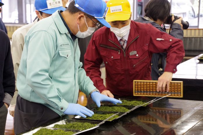 静岡茶市場 “史上最速”の初取引 茶シーズンの消費喚起に