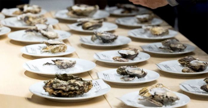 牡蠣業界を盛り上げる 協議会結成、豊洲でイベント