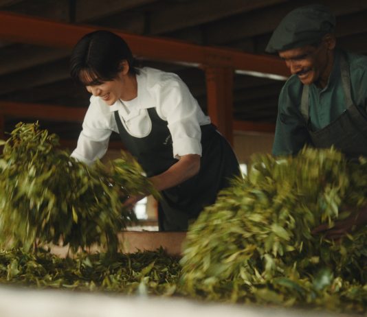 目黒蓮さんを起用した「午後の紅茶」の新CM「紅茶の聖地」篇