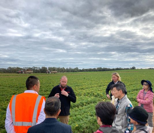 昨年の圃場見学の様子