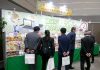 今春に行われた展示会