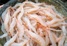 能登半島地震 線引きできない影響範囲 能登半島地震 線引きできない影響範囲