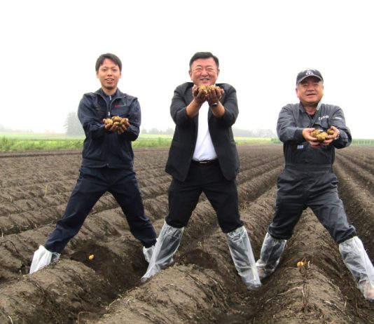 じゃがいもを収穫するカルビーポテト社の田崎一也社長（中央）、杉浦大斗（ひろと）幕別支所支所長（左）、JA幕別町カルピーポテト生産組合の橋詰仁組合長（右）