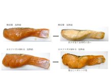 冷食の歩留り向上、食感改善 安定したスイーツ製造容易に 旭東化学産業 「ロスファガスMK-S」溶解液に銀鮭を浸漬し、歩留りと食感を試験