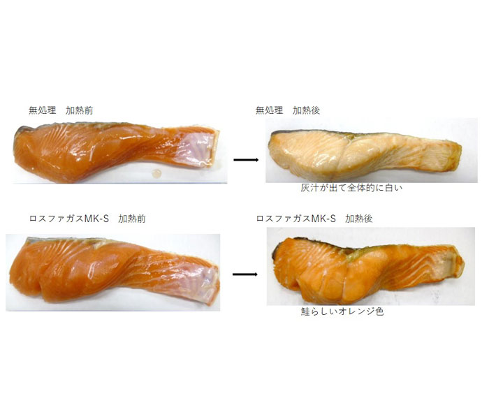 文献にみる食品の変色対策 生鮮食品と加工食品の製造・保存における変色・退色・/流通システム研究センタ-（単行本） 文献にみる食品の変色対策 生鮮食品と加工食品の製造・保存における