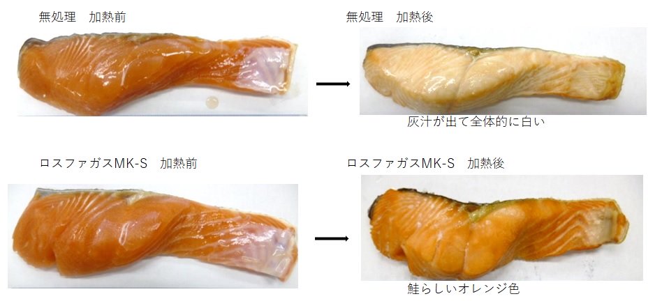 「ロスファガスMK-S」溶解液に銀鮭を浸漬し、歩留りと食感を試験 - 食品新聞 WEB版（食品新聞社）