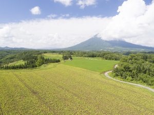 北栄ファームの京極農場 - 食品新聞 WEB版（食品新聞社）