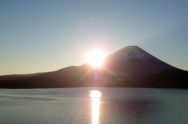 今年の初夢は