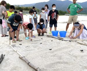 無事にふ化した子ガメを海に送り出す放流会の様子掲載参考 - 食品新聞 WEB版（食品新聞社）