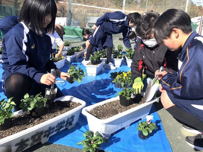 住民の指導を得ながらプランターに花植えする生徒