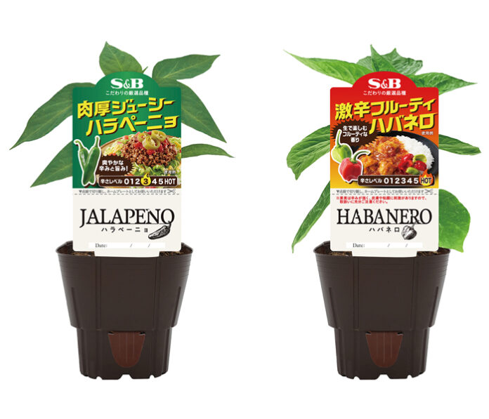 「肉厚ジューシーハラペーニョ」と「激辛フルーティハバネロ」