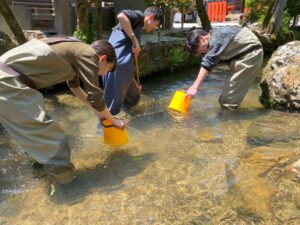 平井規央教授と大学生による上賀茂神社での蛍の保全活動 平井規央教授と大学生による上賀茂神社での蛍の保全活動