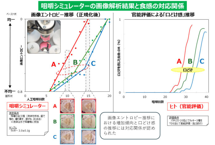 クッキーの口どけ感を見える化 咀嚼シミュレーターに新機能 J-オイルミルズと大阪大学