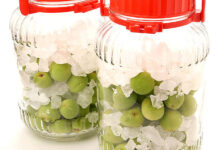 氷糖商戦2025 青梅、今年も不作 雹被害が産地直撃 氷糖商戦2025 青梅、今年も不作 雹被害が産地直撃