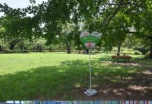 暑さ過酷化する夏 大人の+7℃程度になる「こども気温」の避暑に「いい日陰」 サントリー「GREEN DA・KA・RA」が啓発 「いい日陰」(上)とそうでない日陰(下)