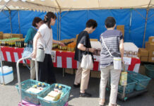 下津醤油「夏の感謝祭」 刺身専用醤油が新登場 お買い得商品をまとめ買い