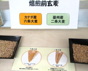 六条大麦に加えて二条大麦を使用 六条大麦に加えて二条大麦を使用
