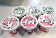 フジッコ、アイス発売へ 規格外の豆を活用 神戸女子大と開発 「きんとき豆うさぎ」2品