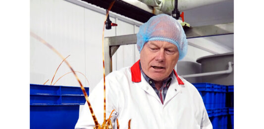 水温が自動管理される水槽で活きたまま出荷を待つロブスター - 食品新聞 WEB版（食品新聞社）