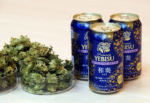 国産ホップ3種使用 特別な「ヱビス」限定発売 イベントで先行提供も サッポロビール 「ヱビス クリエイティブブリュー和奏(わかな)」