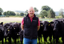 〈持続可能性追求するアイルランドの食料生産〉ビーフ編③ Redmond Farm 農場主のパディ・レドモンド氏