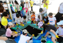 チーズ肥料で野菜を育てよう 家庭でも取り組める脱炭素 六甲バターが夏休みイベント チーズ肥料とともに野菜苗を植える