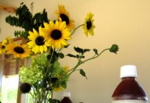 どんな食事にも合わせられるよう「ジャワティ」の原材料は紅茶のみ 36年前に作り上げられた価値が食のプロにじわり浸透 大塚食品 7月29日のイベントでテーブルに置かれる「ジャワティ」