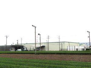伊藤園専用冷蔵庫奥畑の茶色部分は台切り更新したところ 伊藤園専用冷蔵庫(奥)、畑の茶色部分は台切り更新したところ
