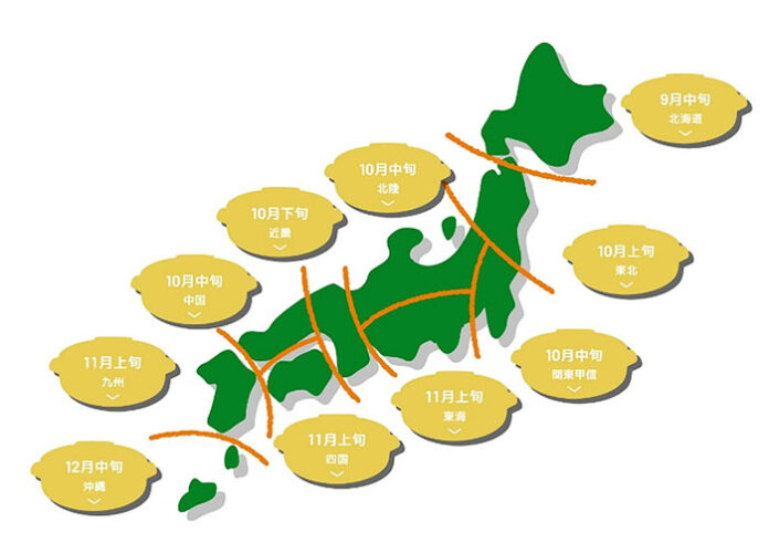 鍋前線2025発表 「まるで地元鍋」公開 Mizkan