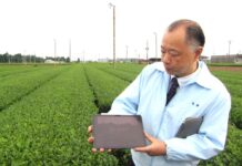 伊藤園、AIでお茶の摘採期見極めるシステムに磨き 熟練の技や高額な成分分析機の代替として提案 農業DX化推進 佐藤貴志製品開発部副部長