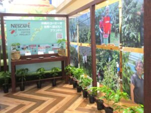 ネスカフェ原宿で生産地の写真などを展示 「ネスカフェ原宿」で生産地の写真などを展示