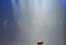 明治「きのこの山」のファッションショー開催 森崎ウィンさんがカカオハスク衣装で登場 JUNKO KOSHINO とコラボ 「きのコレ」ファッションショー