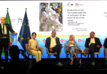 イタリア有機ハチミツ「Mielizia(ミエリツィア)」 大阪・関西万博でトークセミナー ミツバチと生物多様性をテーマに トークセッションの模様