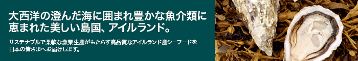 〈持続可能性追求するアイルランドの食料生産〉シーフード編①大西洋の自然が育む恵み 海洋資源の保護に重点