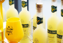 世界No.1リモンチェッロ、イタリアから初上陸 榎本酒類が独占販売 原料のレモンは実の生育に1年かかるという大型種