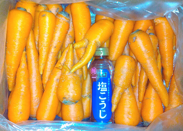 液体塩こうじ＋規格外のオーガニックにんじん