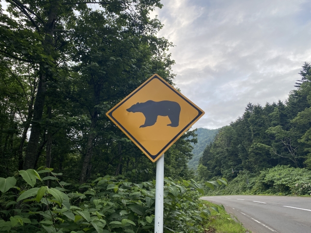 頭によぎるクマ出没