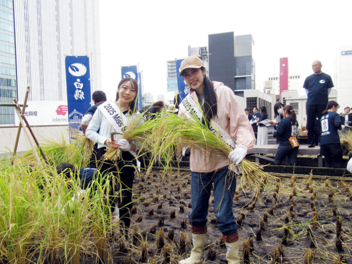 「Miss SAKE」も参加