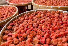 梅干 値上げの秋再び 産地維持へ苦渋の決断 国産不作・中国産コスト高 梅干 値上げの秋再び 産地維持へ苦渋の決断 国産不作・中国産コスト高